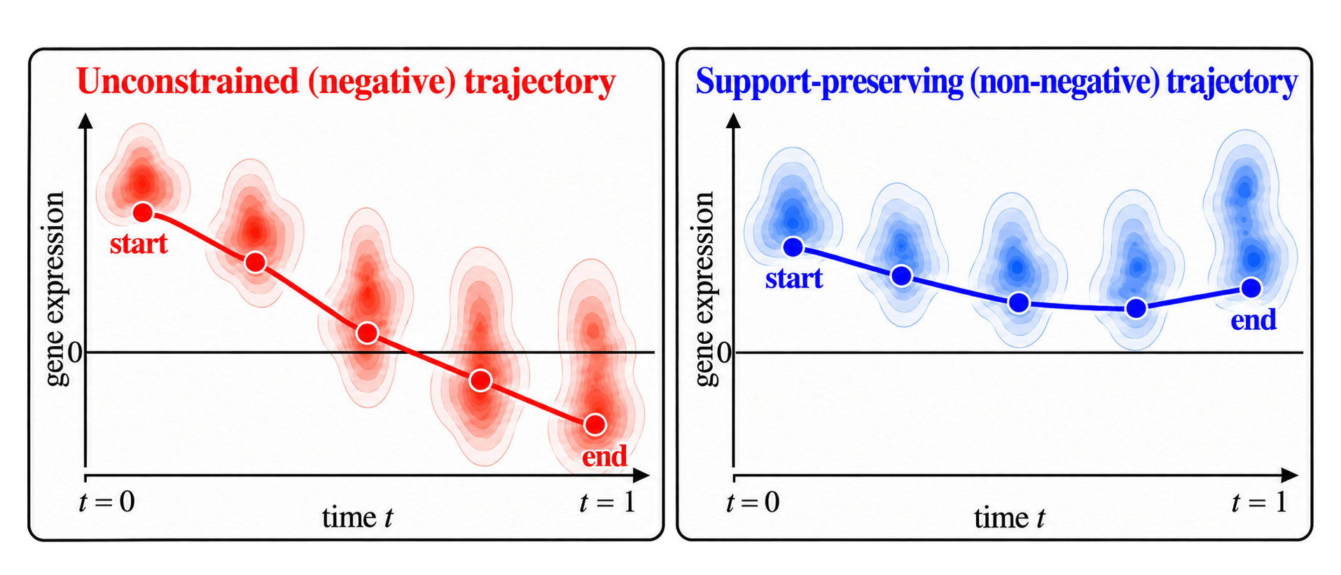Unconstrained and support-preserving expression trajectories from the BioFlow poster