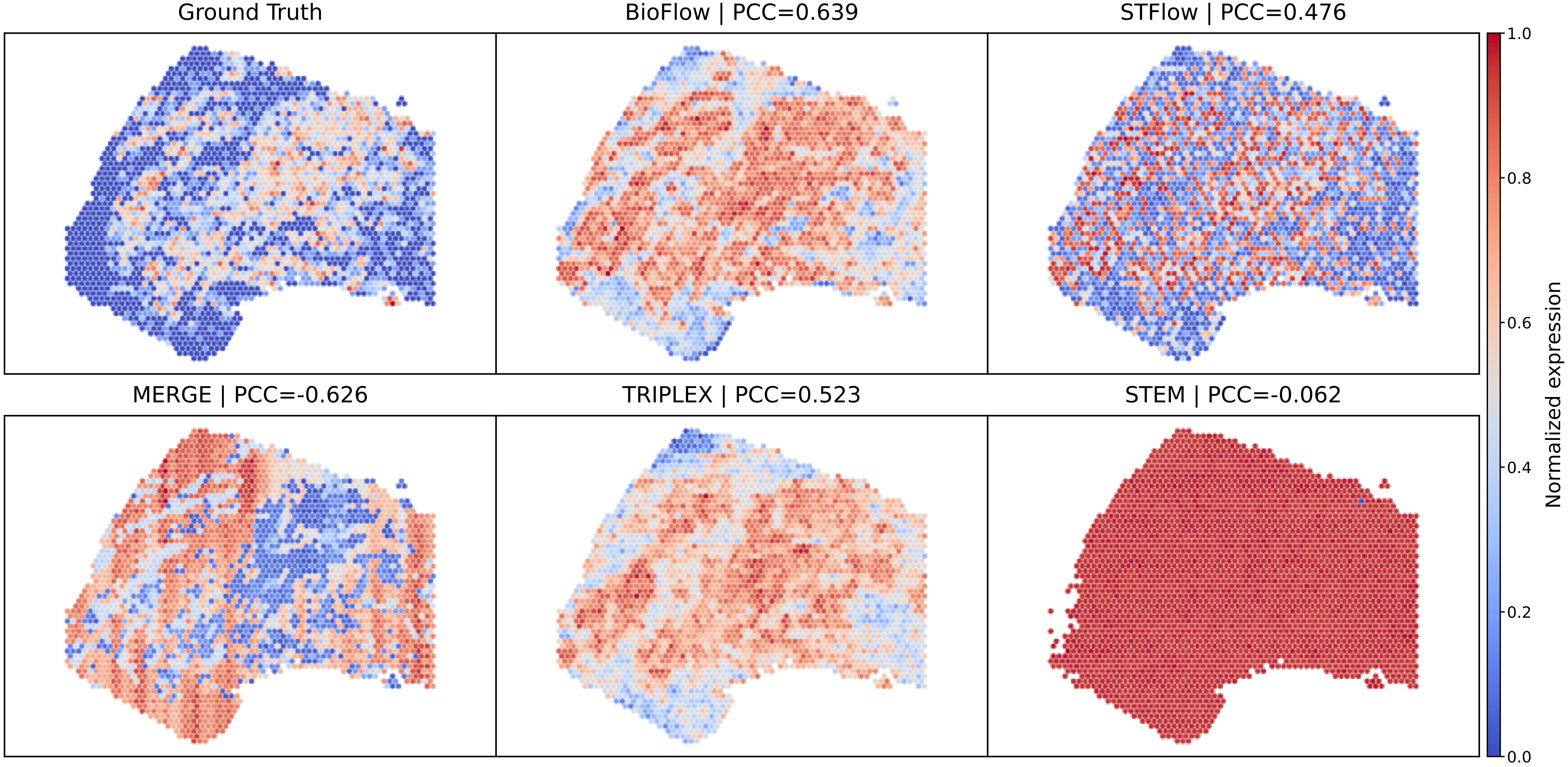 Spatial gene expression prediction results across multiple methods