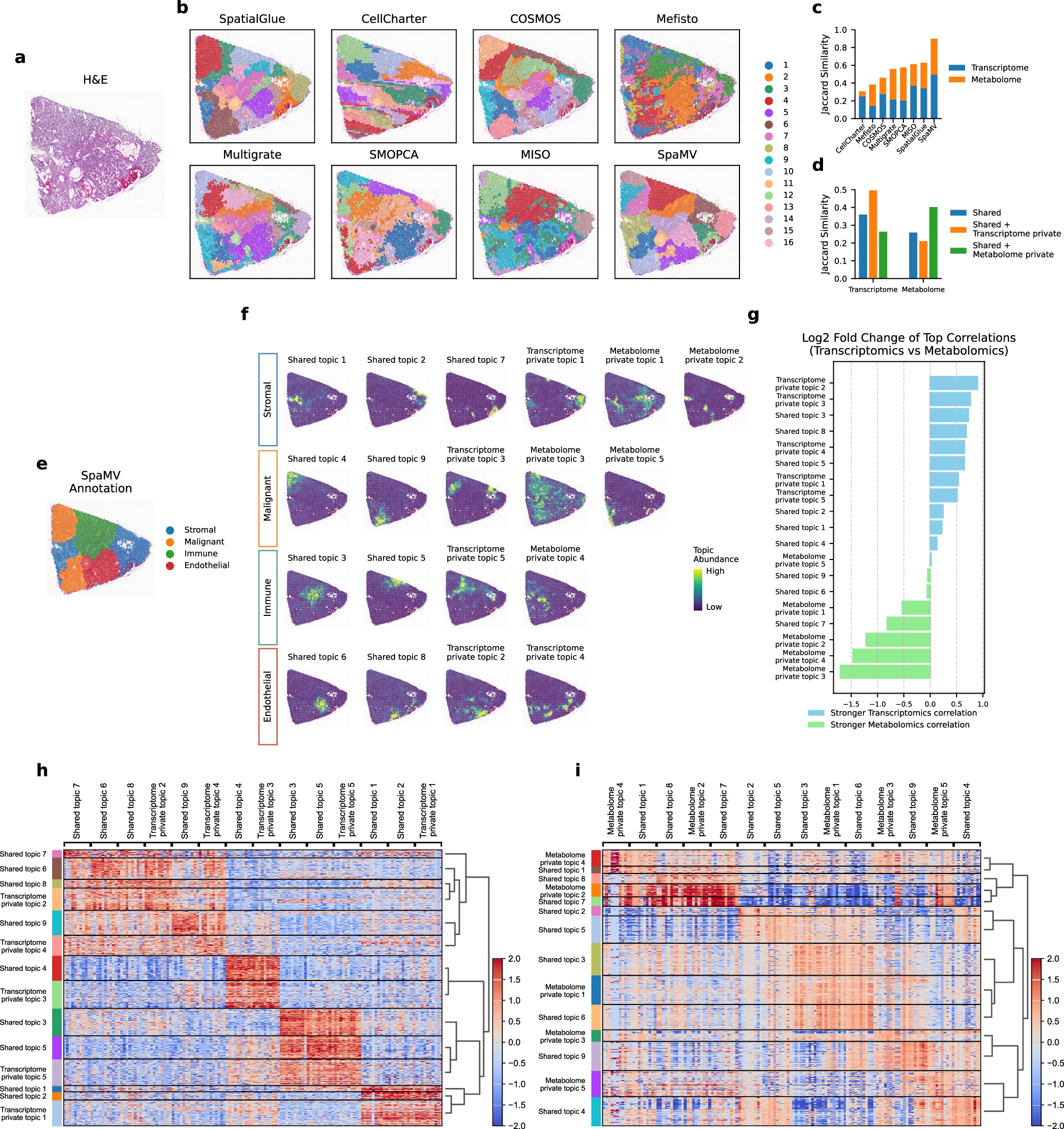Transcriptome and metabolome integration in tissue