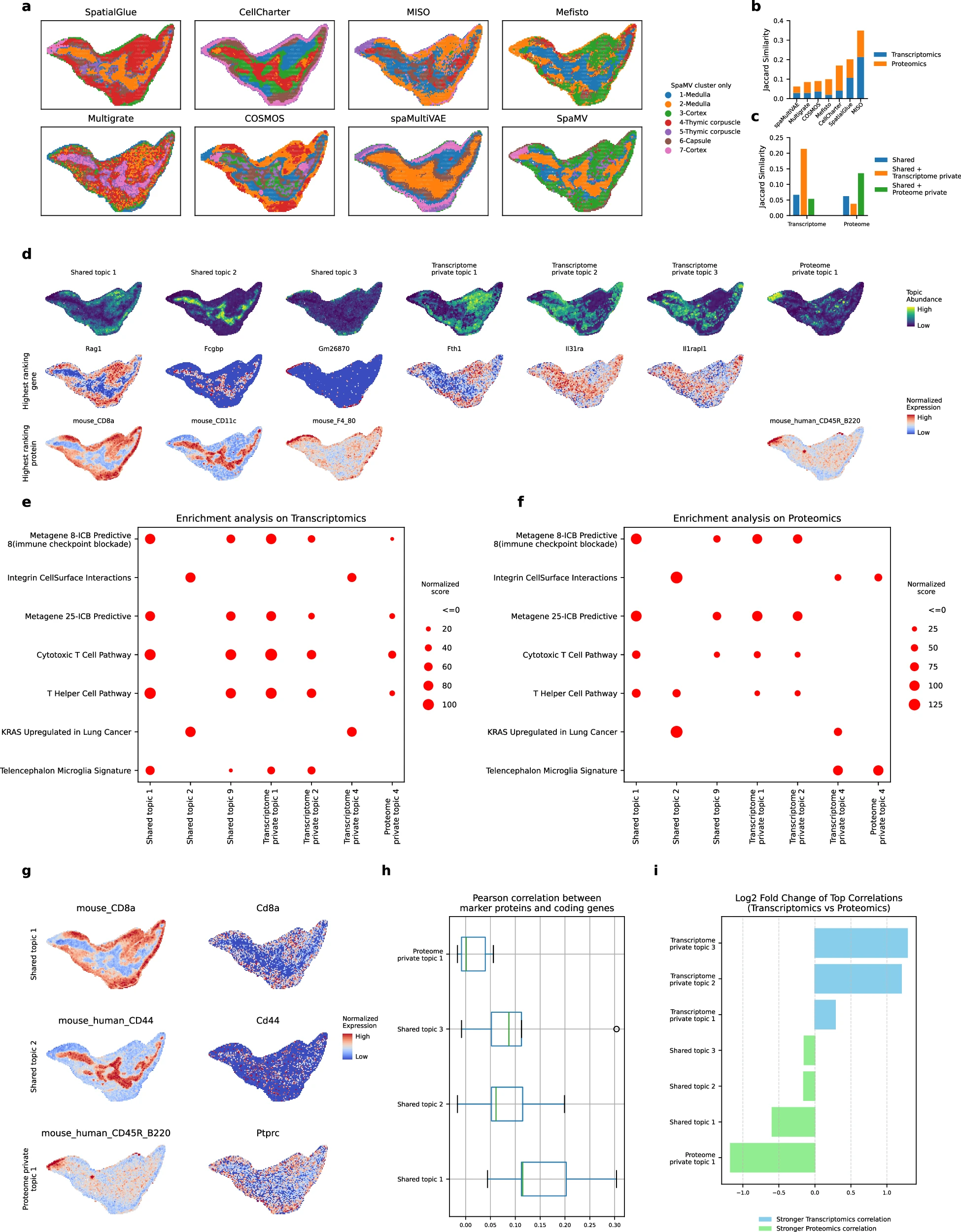 Transcriptome and proteome integration and pathway enrichment