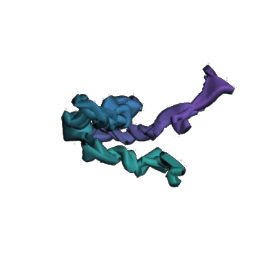 A protein backbone emerging through the RFdiffusion denoising process